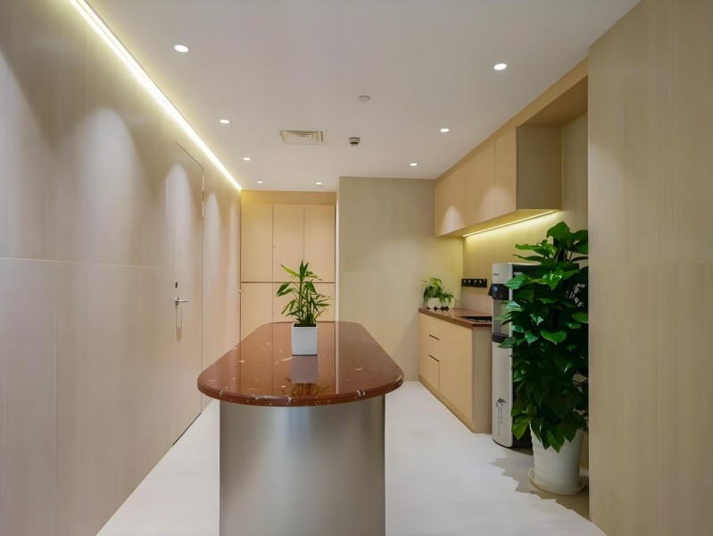 百乐门大都会（国企楼盘）公共区域