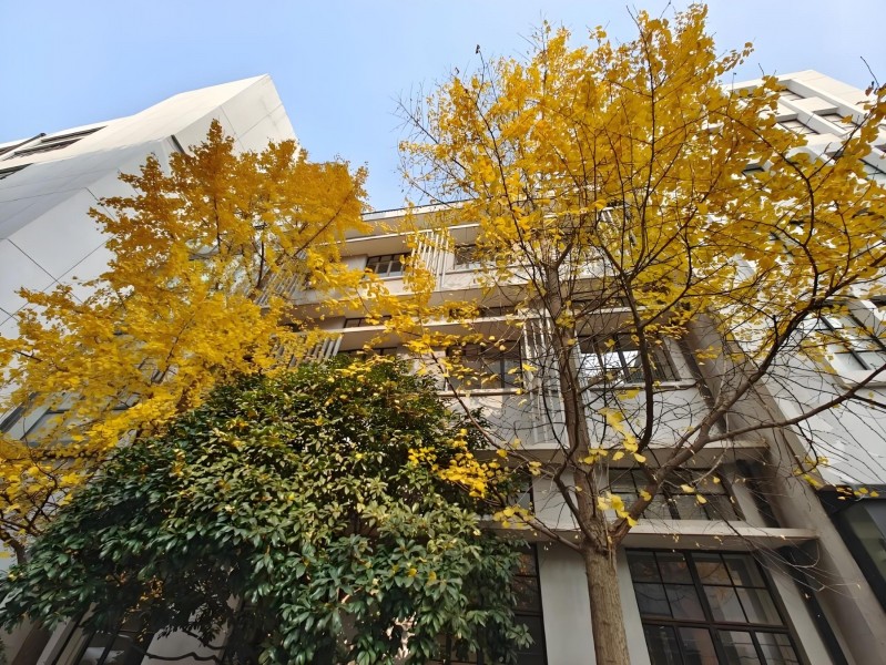 源创创意园外立面