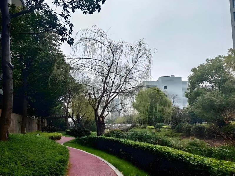 龙软万荣信息科技产业园外立面