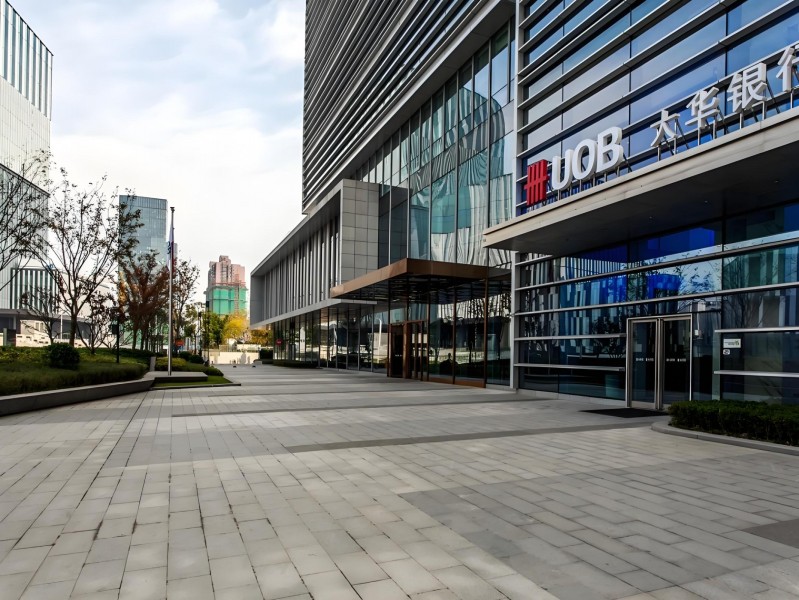 大华银行大厦（国企楼盘）外立面