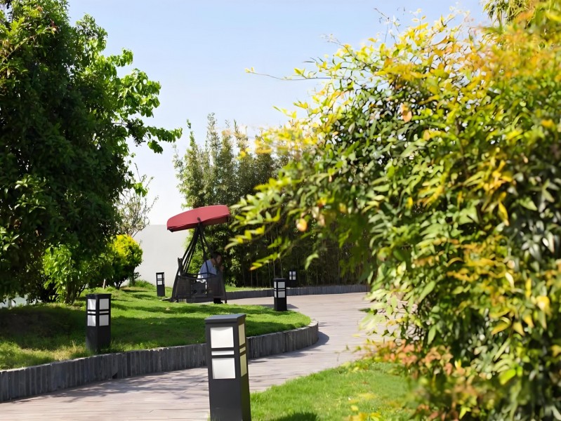 大树下新媒体创意园外立面