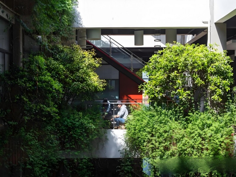 大树下新媒体创意园外立面